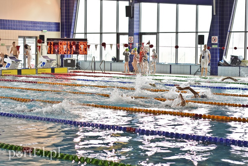 Motylem przez Dolinkę zdjęcie nr 172385