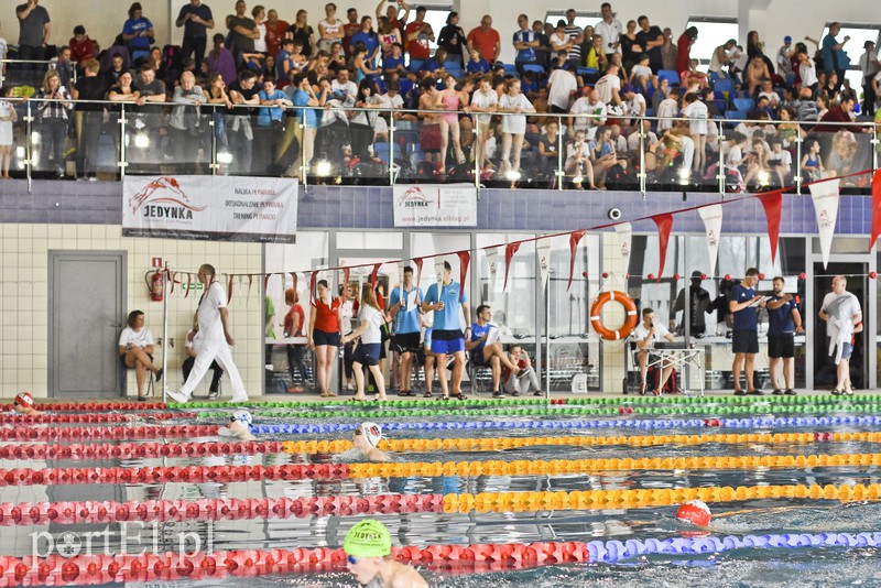 Motylem przez Dolinkę zdjęcie nr 172404