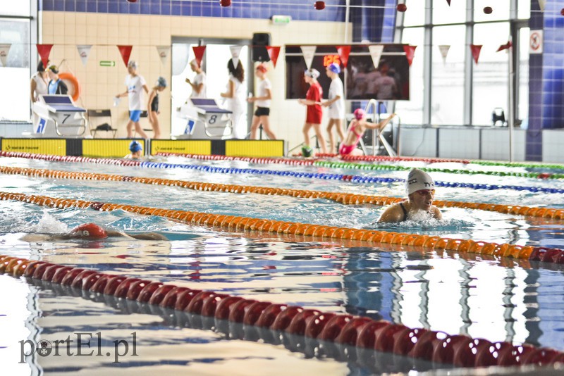 Motylem przez Dolinkę zdjęcie nr 172395