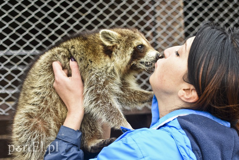 Tu się leczy zranione ciała i dusze. Na czterech łapach, kopytach, na skrzydłach i w futrze zdjęcie nr 172510