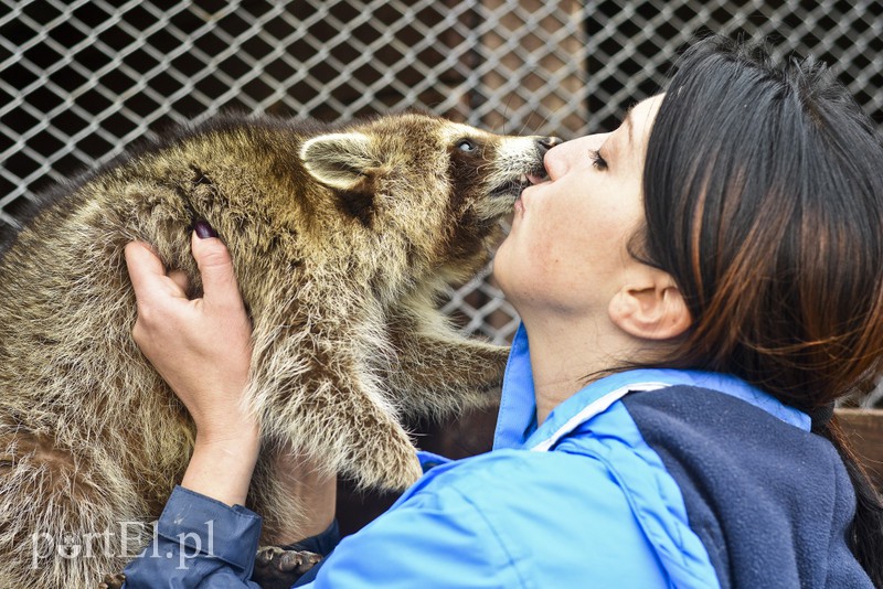 Tu się leczy zranione ciała i dusze. Na czterech łapach, kopytach, na skrzydłach i w futrze zdjęcie nr 172511
