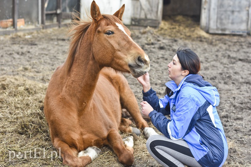 Tu się leczy zranione ciała i dusze. Na czterech łapach, kopytach, na skrzydłach i w futrze zdjęcie nr 172492