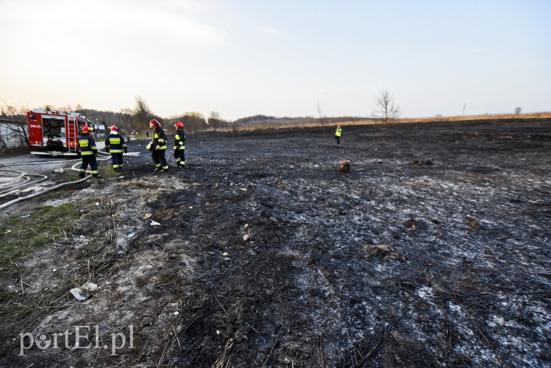 Pożar traw rozprzestrzenił się do stolarni zdjęcie nr 173035