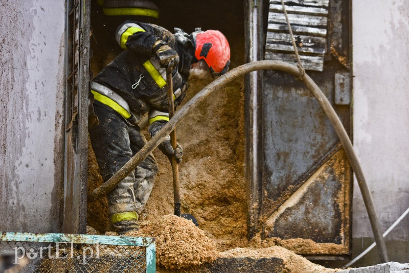 Pożar traw rozprzestrzenił się do stolarni zdjęcie nr 173052