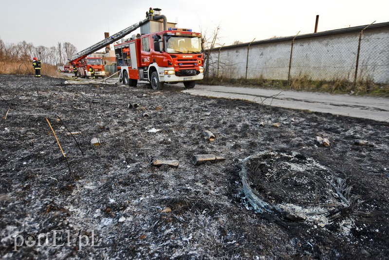 Pożar traw rozprzestrzenił się do stolarni zdjęcie nr 173042