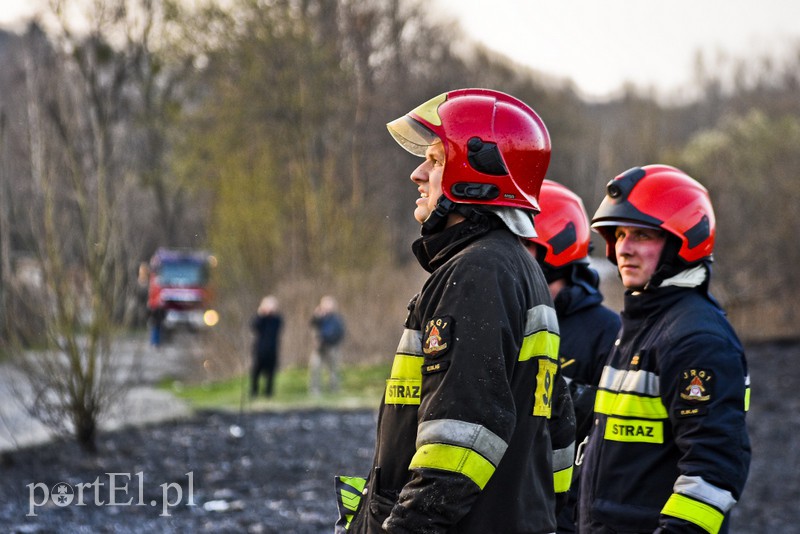 Pożar traw rozprzestrzenił się do stolarni zdjęcie nr 173039