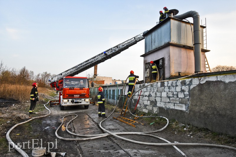 Pożar traw rozprzestrzenił się do stolarni zdjęcie nr 173044