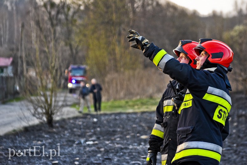 Pożar traw rozprzestrzenił się do stolarni zdjęcie nr 173040