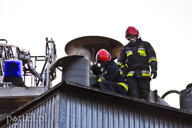 Pożar traw rozprzestrzenił się do stolarni zdjęcie nr 173037