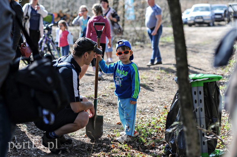 Zasadzili dwa tysiące nowych drzew zdjęcie nr 173113