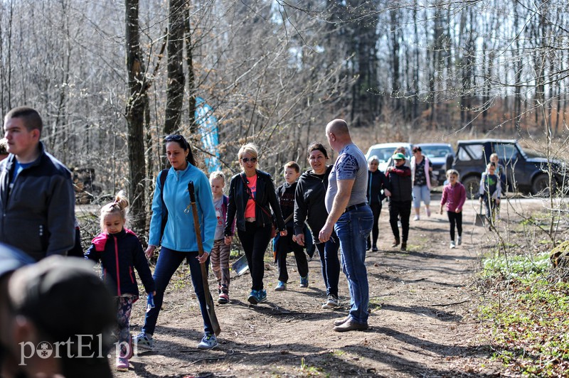 Zasadzili dwa tysiące nowych drzew zdjęcie nr 173112