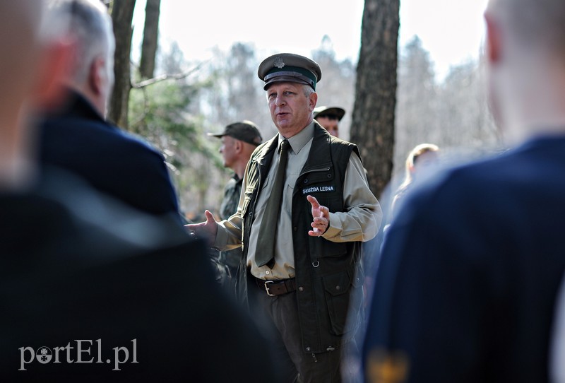 Zasadzili dwa tysiące nowych drzew zdjęcie nr 173111