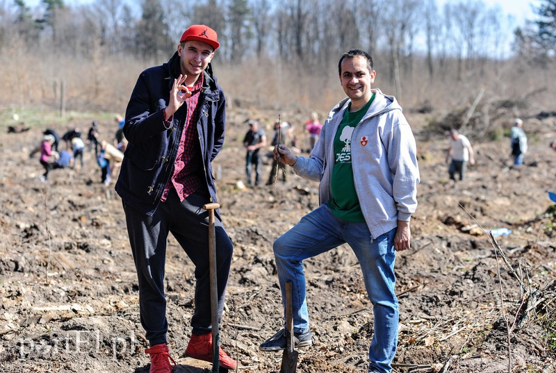 Zasadzili dwa tysiące nowych drzew zdjęcie nr 173136