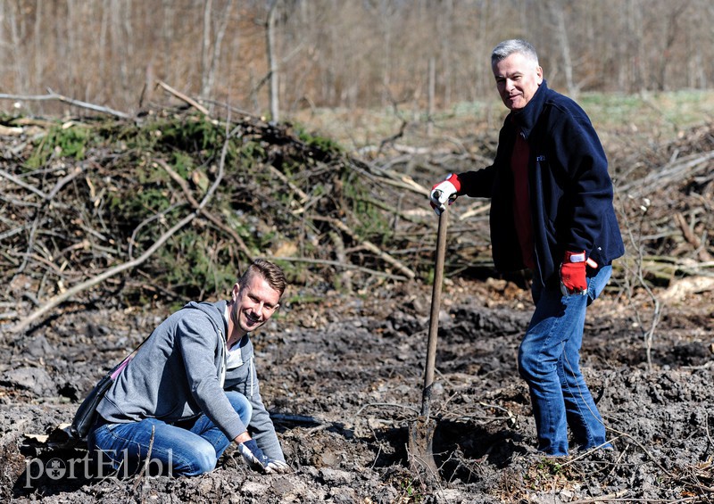 Zasadzili dwa tysiące nowych drzew zdjęcie nr 173128