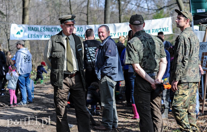 Zasadzili dwa tysiące nowych drzew zdjęcie nr 173107