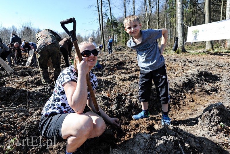 Zasadzili dwa tysiące nowych drzew zdjęcie nr 173120