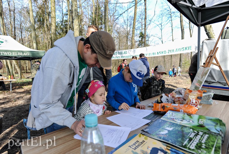 Zasadzili dwa tysiące nowych drzew zdjęcie nr 173104