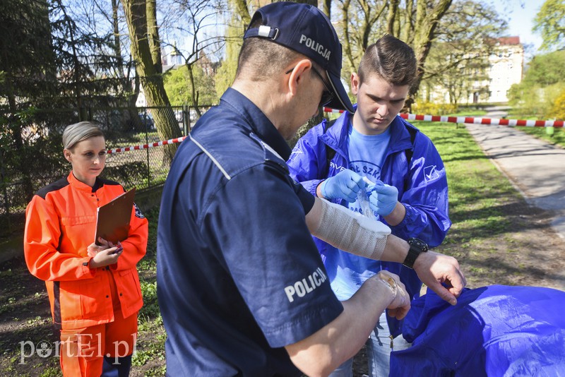 Armagedon w Parku Planty zdjęcie nr 173504