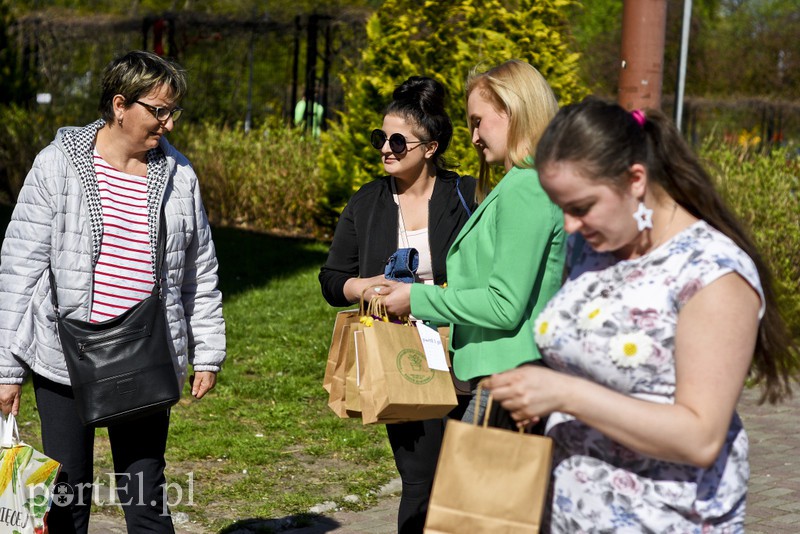 Bratki na Dzień Ziemi zdjęcie nr 173541