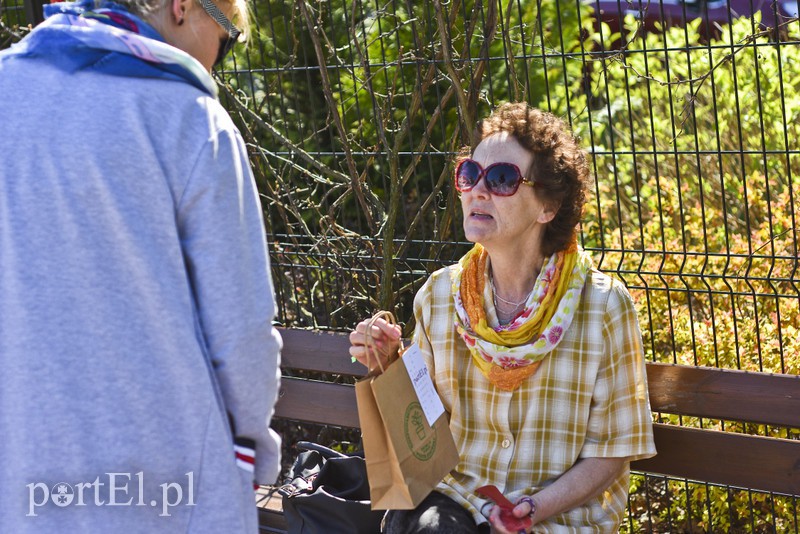 Bratki na Dzień Ziemi zdjęcie nr 173548