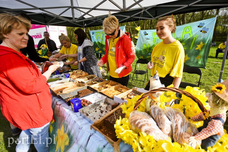 Pobiegli dla hospicjum zdjęcie nr 173732