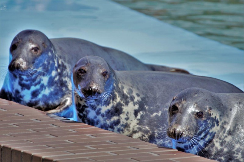 Elbląg Tu nie ma czasu na nudę