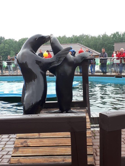 Tu nie ma czasu na nudę zdjęcie nr 173823