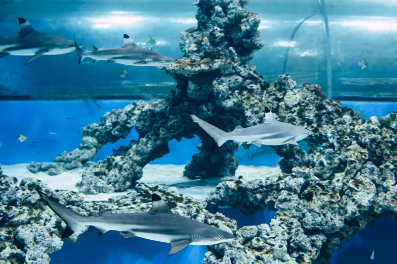 Jedź tam, gdzie zawsze jest dobra pogoda zdjęcie nr 174004