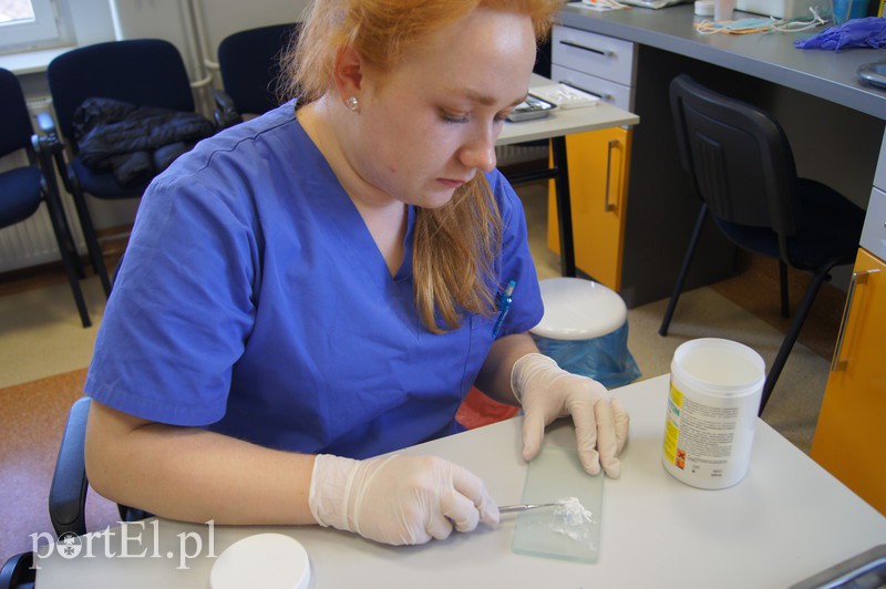 Zaskakujące zmiany w elbląskiej Szkole Medycznej zdjęcie nr 174101