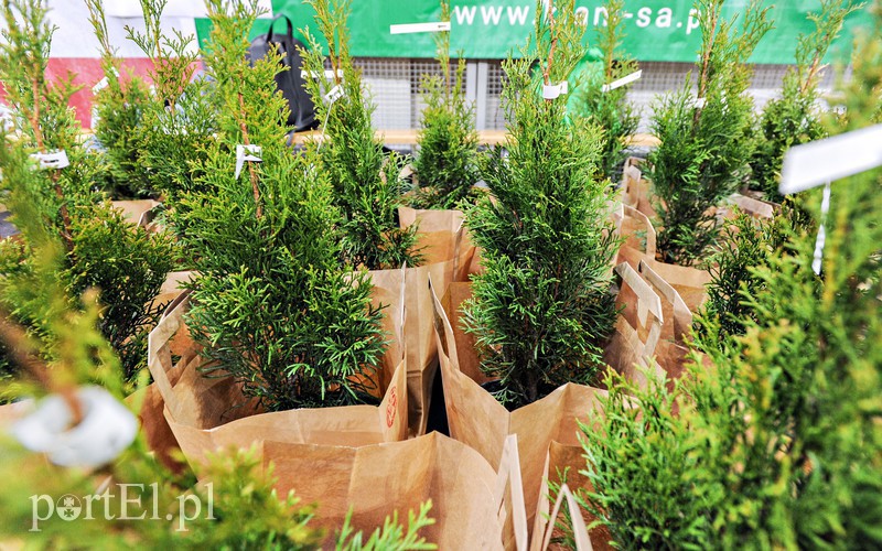 Kilometry nakrętek od uczniów zdjęcie nr 174131