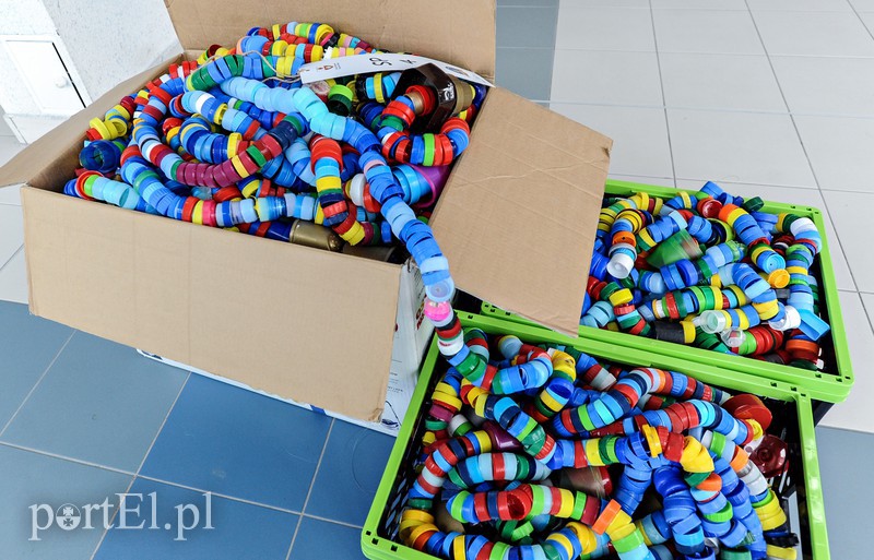 Kilometry nakrętek od uczniów zdjęcie nr 174124