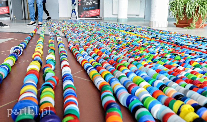 Kilometry nakrętek od uczniów zdjęcie nr 174123