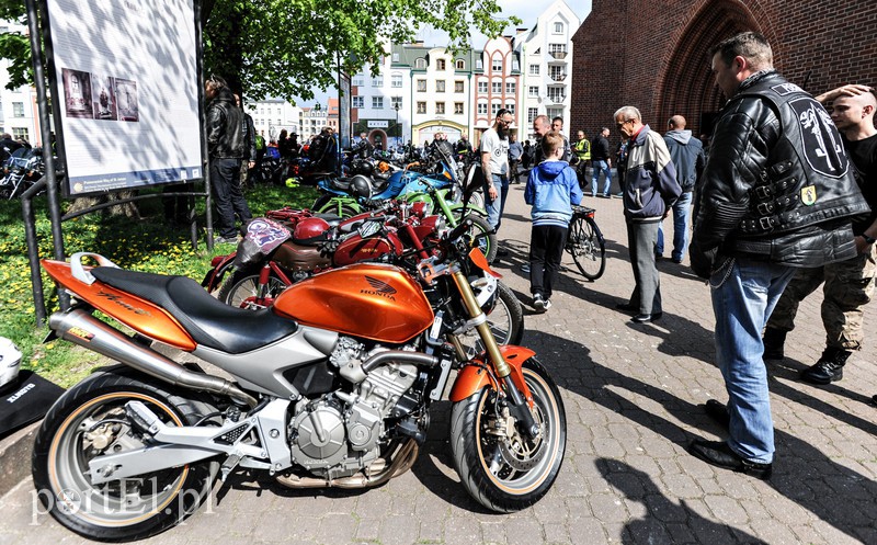 Elbląg Lewa w górę!