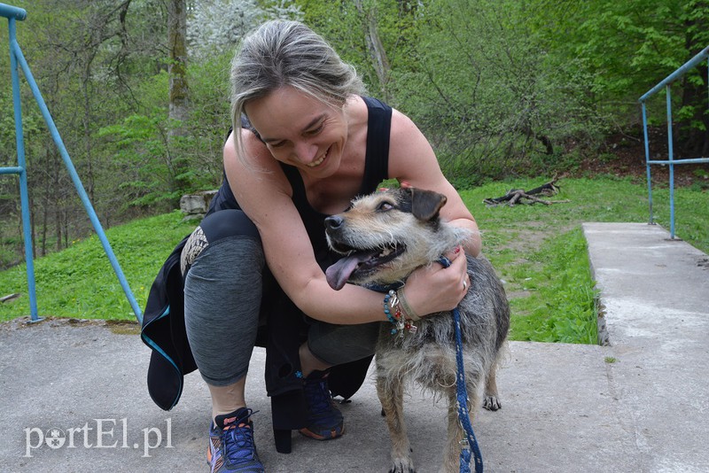 Bieg na 6 łap zdjęcie nr 174284