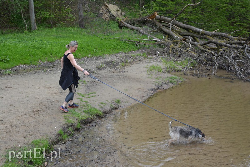 Bieg na 6 łap zdjęcie nr 174282
