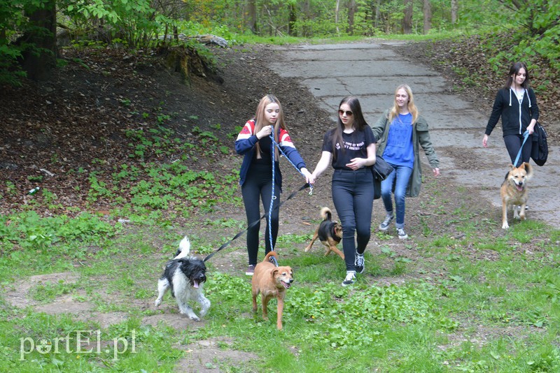 Bieg na 6 łap zdjęcie nr 174277