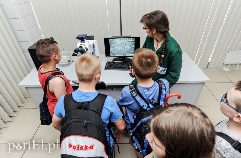 Dużo krzyku, błysków i grzmotów zdjęcie nr 174944