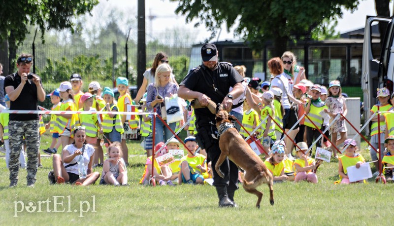 Pokazy, atrakcje i mundury zdjęcie nr 174972