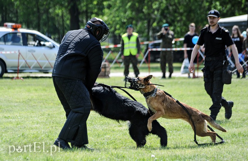 Pokazy, atrakcje i mundury zdjęcie nr 174974