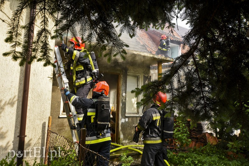 Pożar na Zatorzu zdjęcie nr 175201