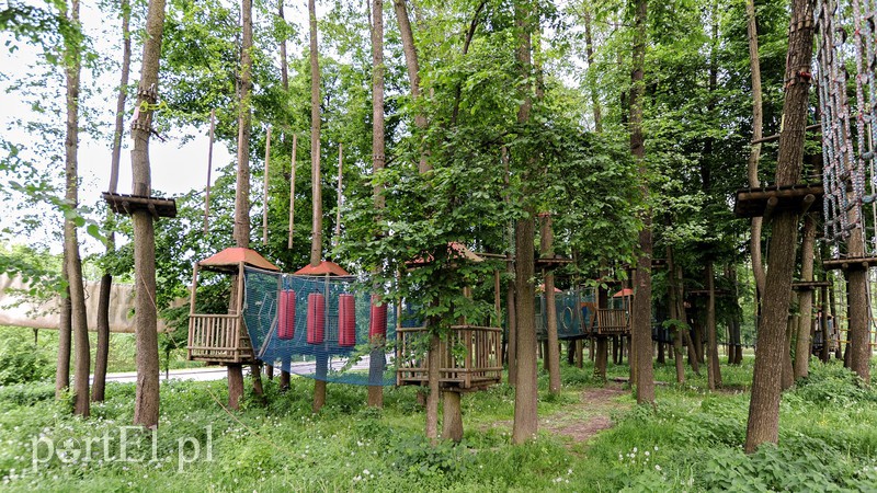 Co dalej z Bażantarnią zdjęcie nr 175216