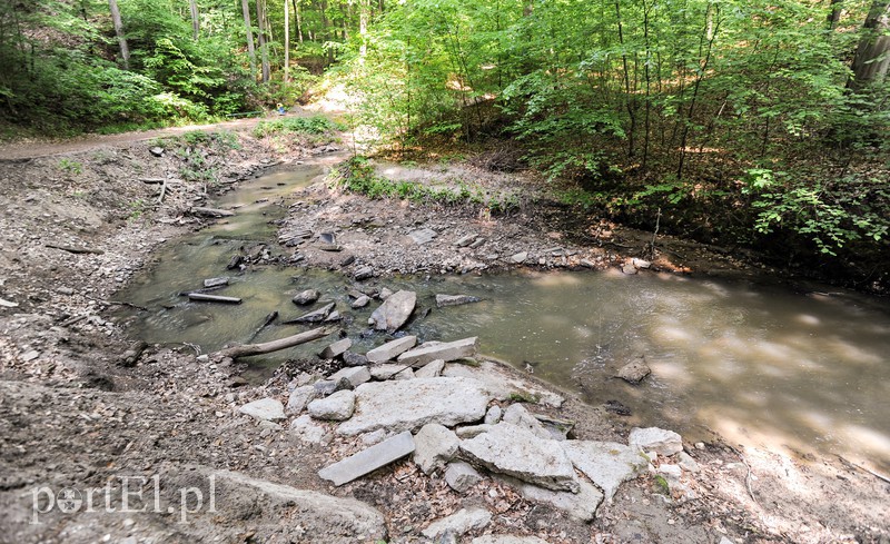 Co dalej z Bażantarnią zdjęcie nr 175228