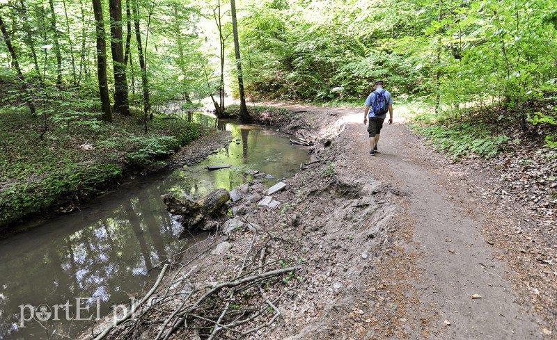 Co dalej z Bażantarnią zdjęcie nr 175234