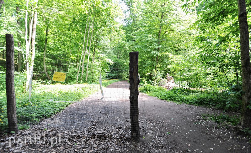 Co dalej z Bażantarnią zdjęcie nr 175220