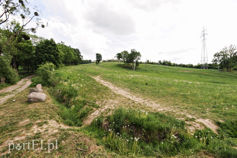 Elbląg Co dalej z Bażantarnią