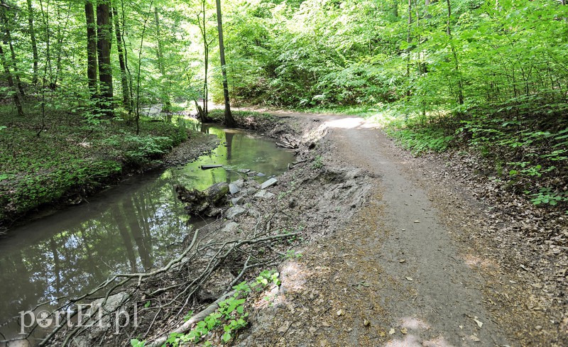 Co dalej z Bażantarnią zdjęcie nr 175232