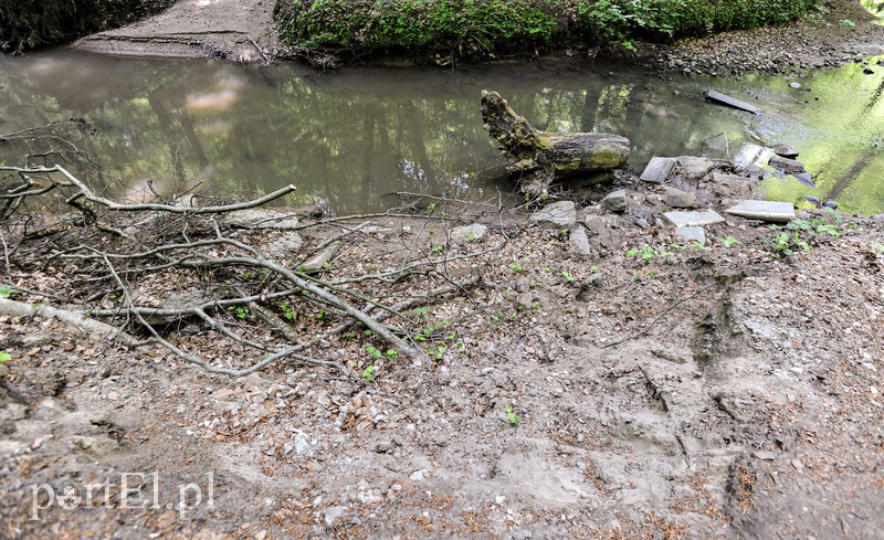 Co dalej z Bażantarnią zdjęcie nr 175233