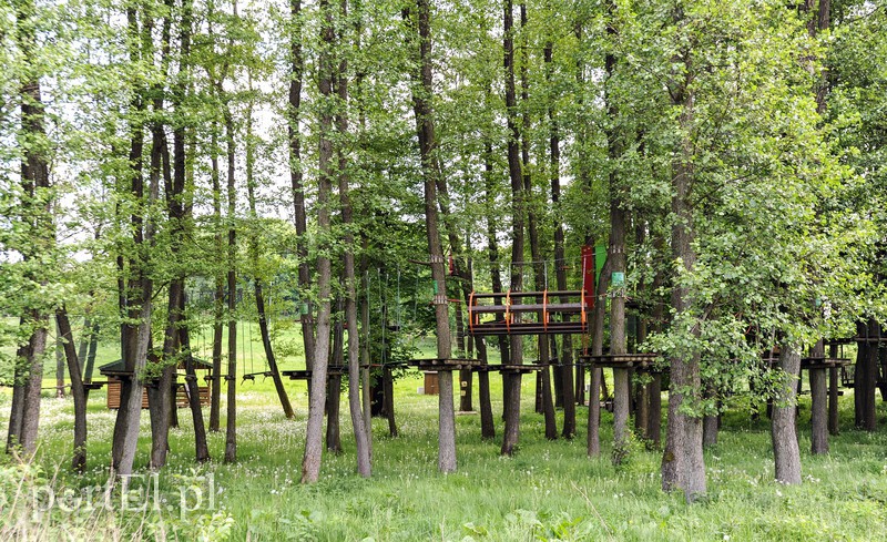 Co dalej z Bażantarnią zdjęcie nr 175219