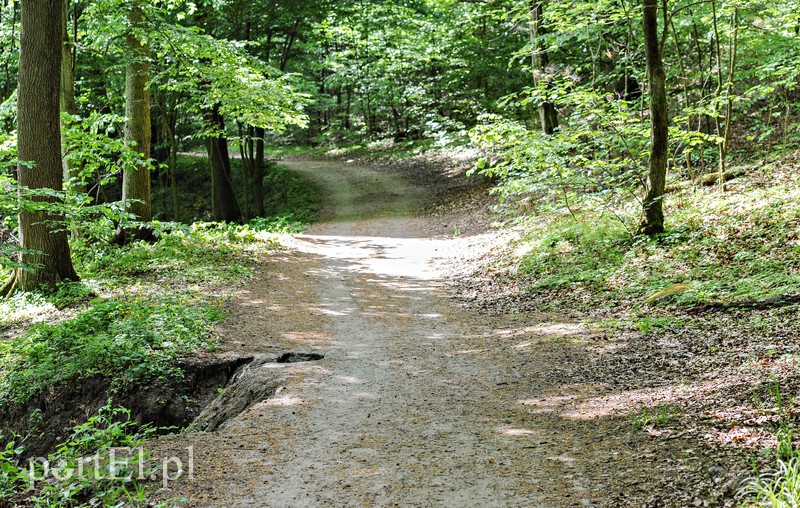 Co dalej z Bażantarnią zdjęcie nr 175241
