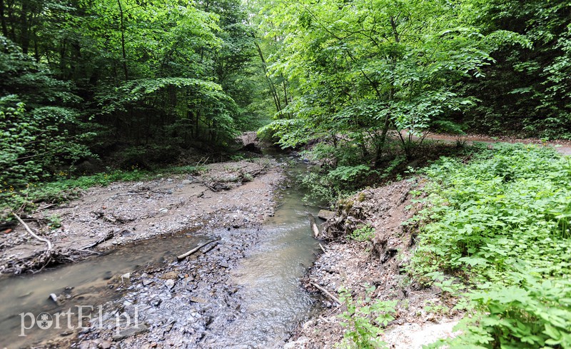 Co dalej z Bażantarnią zdjęcie nr 175226